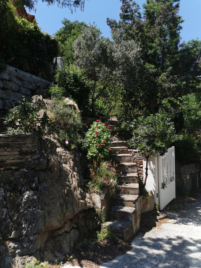 Ou Souleou Bormes-les-Mimosas Exterior foto