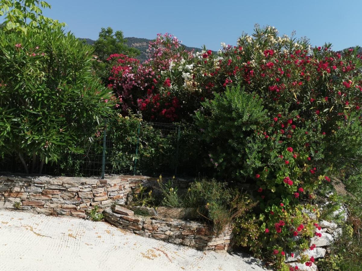 Ou Souleou Bormes-les-Mimosas Exterior foto